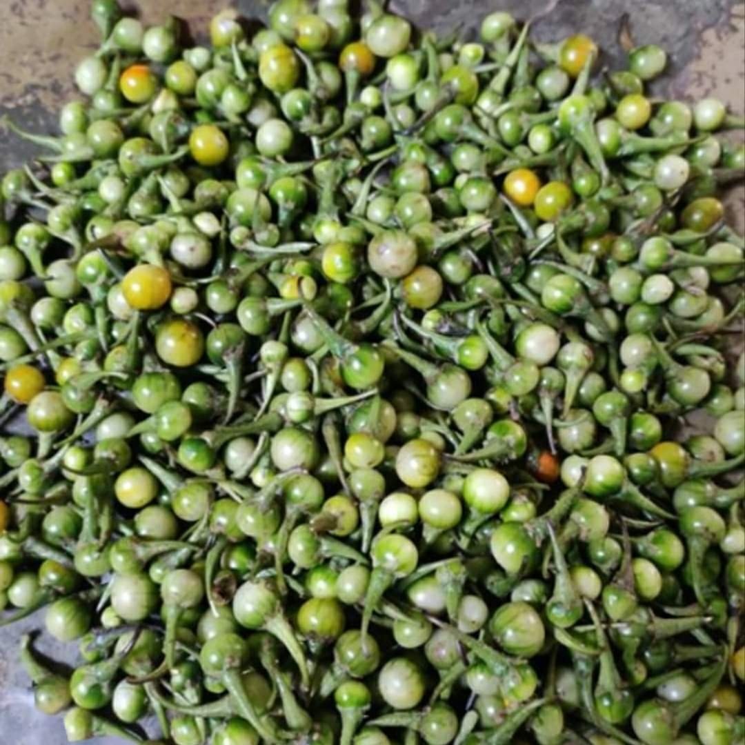 चिचारडी चिचार्डे