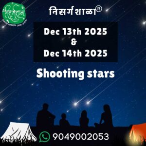 Geminid Meteor shower near Pune